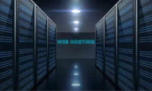 استضافة المواقع