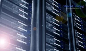 الاستضافة المشتركة